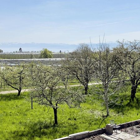 Ferienwohnung Plocher Immenstaad am Bodensee Εξωτερικό φωτογραφία