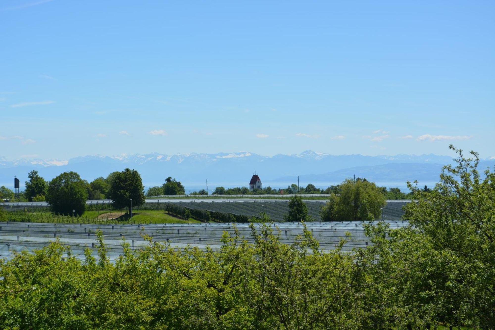 Ferienwohnung Plocher Immenstaad am Bodensee Εξωτερικό φωτογραφία