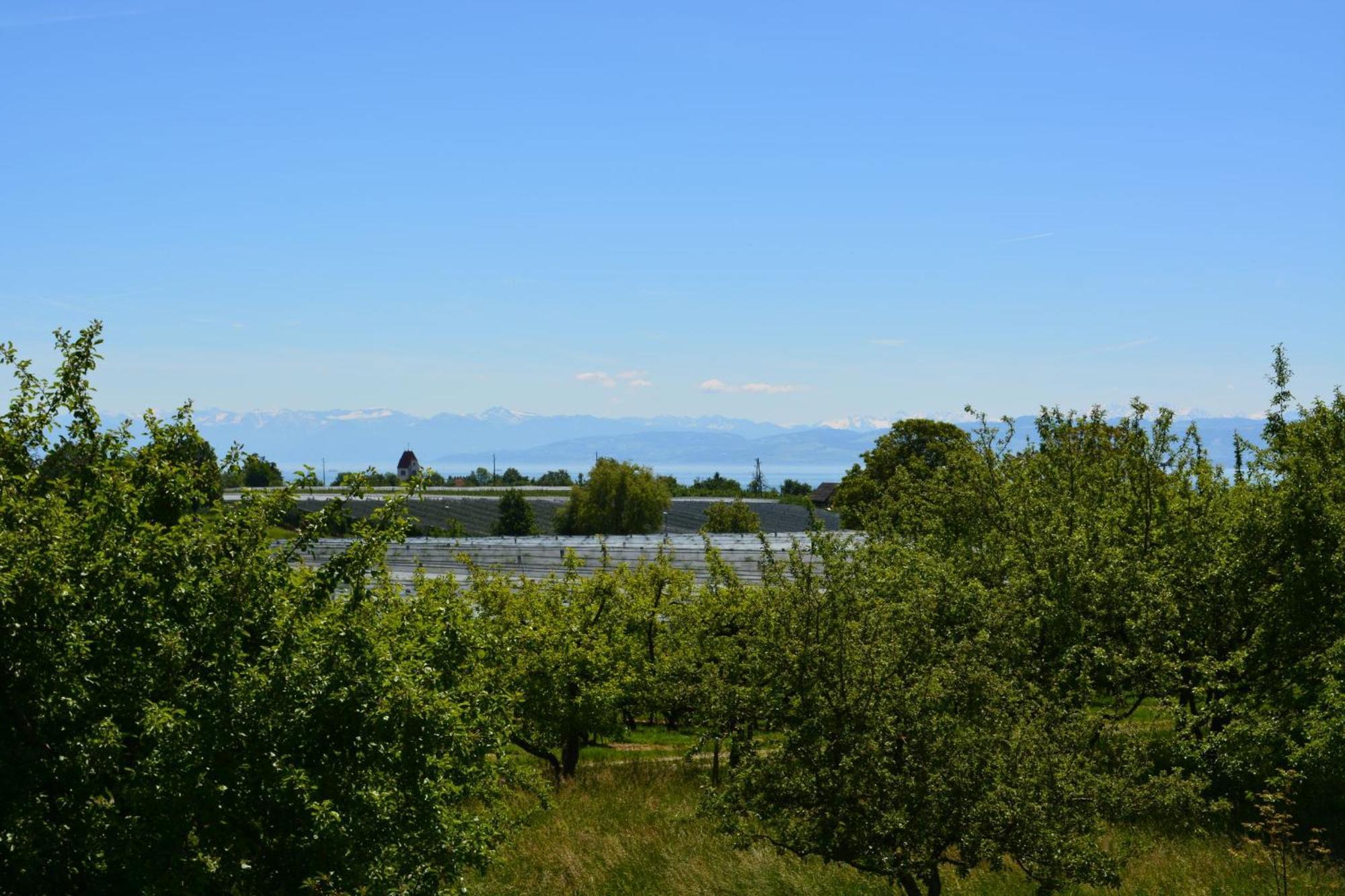 Ferienwohnung Plocher Immenstaad am Bodensee Εξωτερικό φωτογραφία